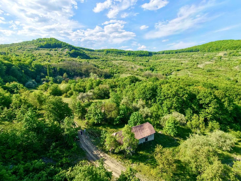 Casă de vânzare + teren 15 ari – zonă liniștită lângă pădure (Unguraș, jud. Cluj)