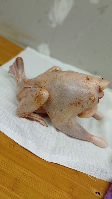 мясо куры домашние