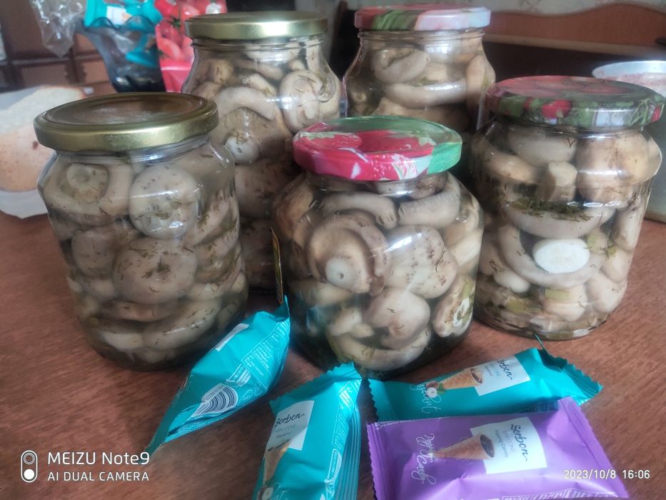 Шампиньоны, вешенки , грибы