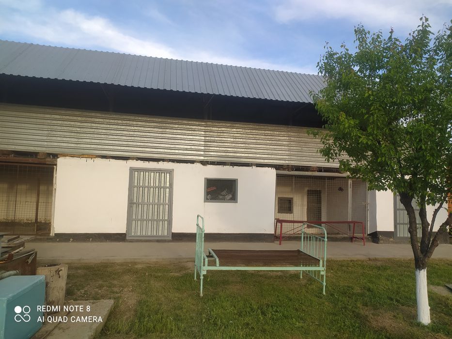 Дом расположен по Толе би