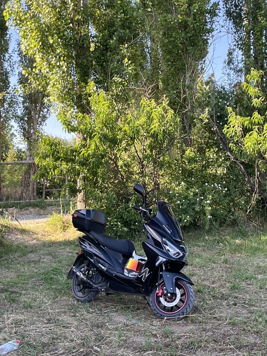 Мапед Максии