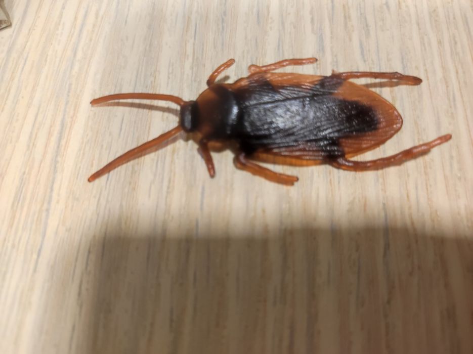 Тараканы пластиковые для розыгрыша