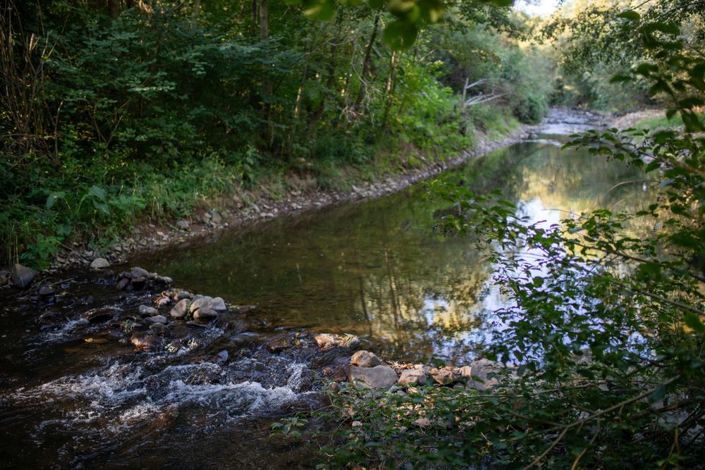 Cabana A-frame cu ciubar de inchiriat in Bologa,jud CJ