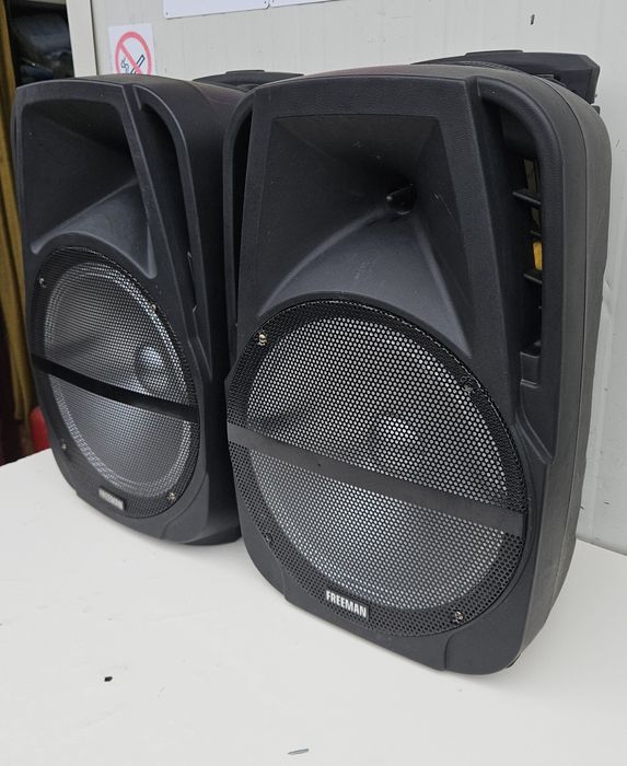 Set boxe Freeman de 12" pasive.