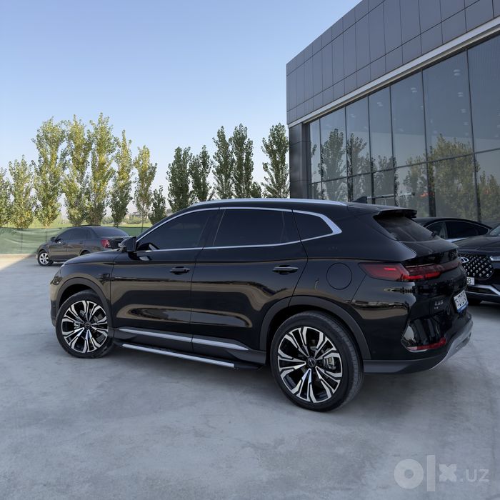 Byd champion smart