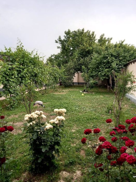 Частный дом ул. Мадели кожа 200