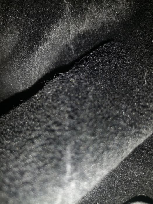 Geaca lunga/ pardesiu/ parka gluga dama, neagra, L, Cropp