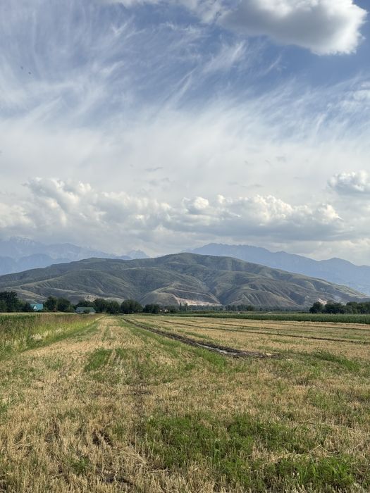 Земельный участок