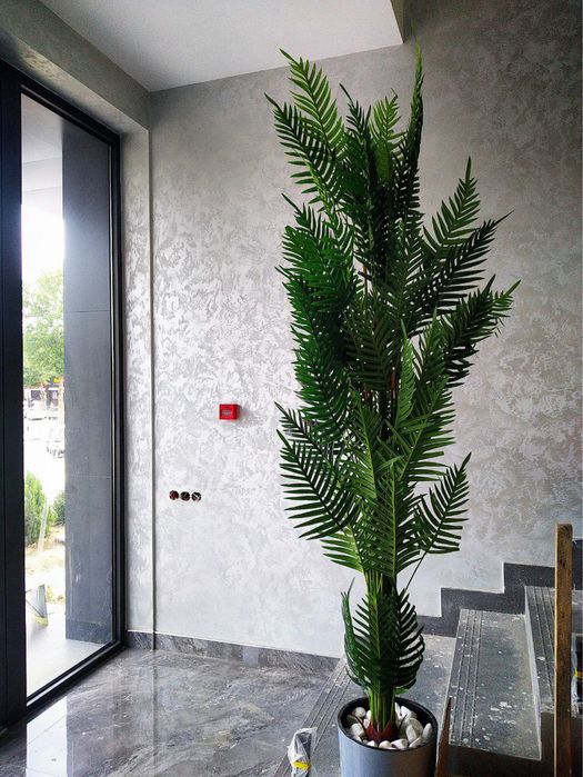 Ottochento 35.000 somdan