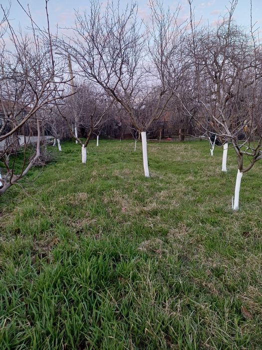 Teren intravilan de vânzare