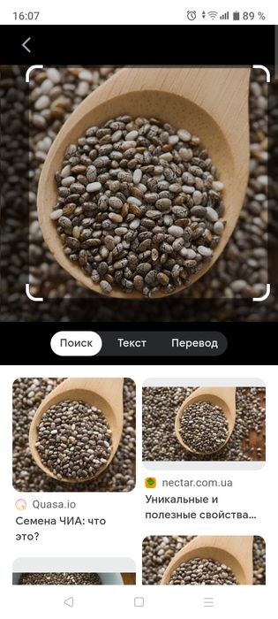 Чиа уруғи сотилади.