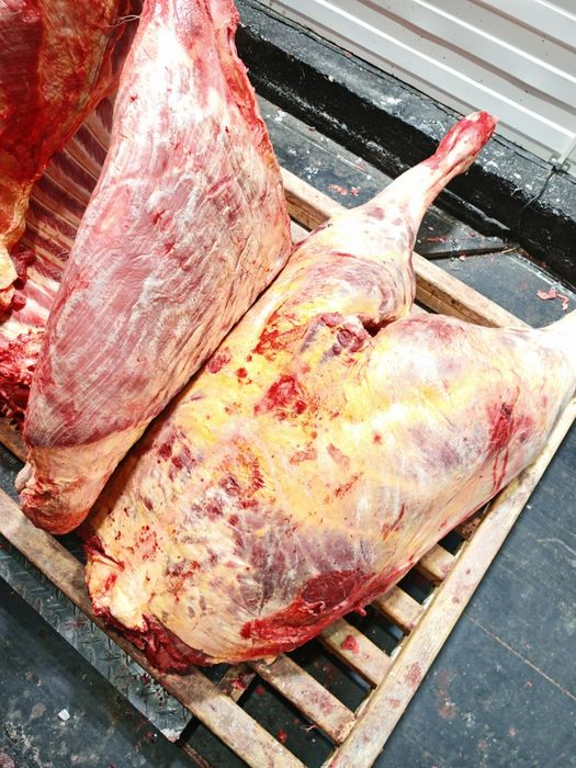 Мясо говядины конины