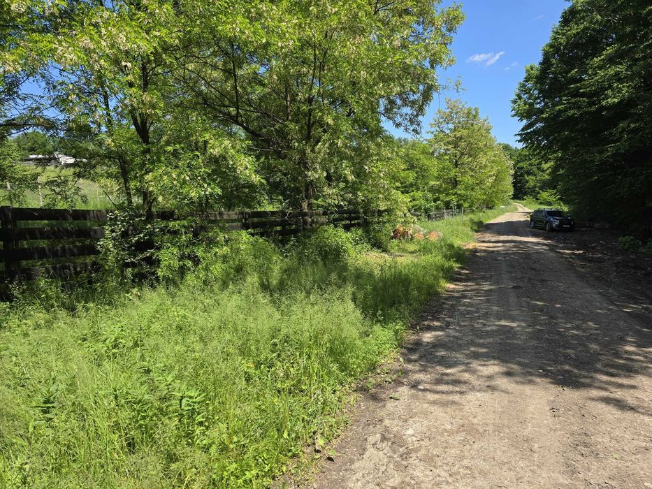 vand teren in locul numit Poiana Soarelui -Ilisesti judetul Suceava