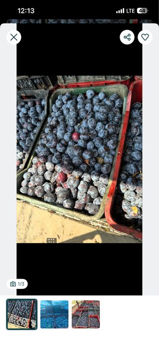 Vand. Pruna. Straili. De. Tuica. De. Palinca. Etc