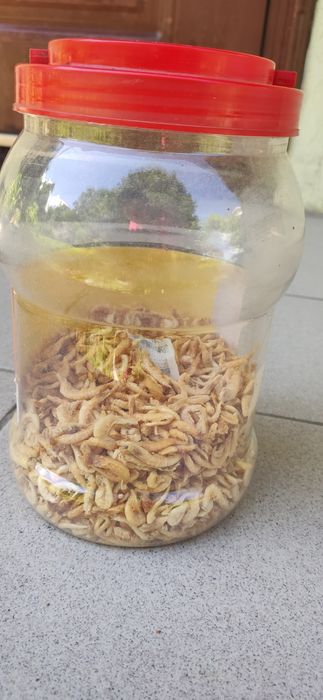 Корм для черепах, больших рыб