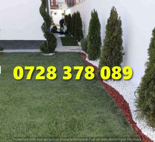 Gazon / Insamantare / Rulouri de Gazon