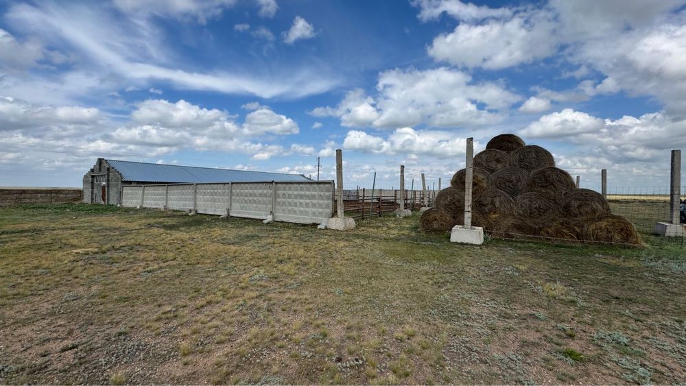 Животноводческий комплекс