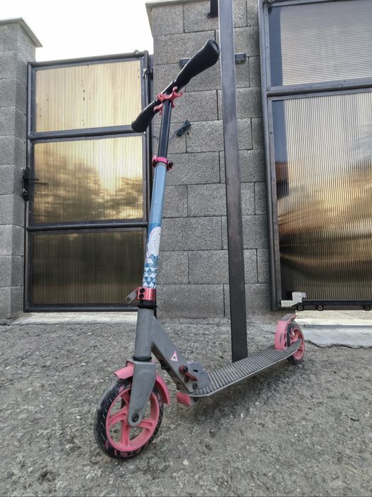 Trotineta si skateboard