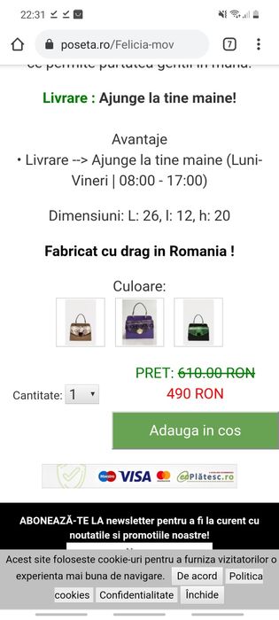 Geantă Anna Fellini piele naturală