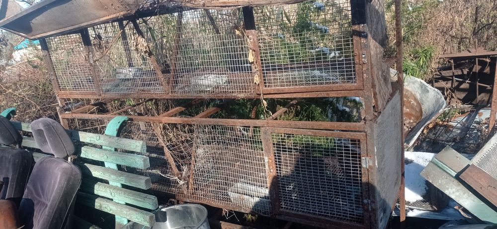 Клетки для кроликов