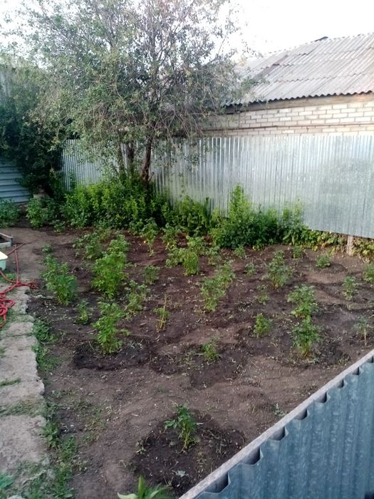 Продам отдельностоящий дом.