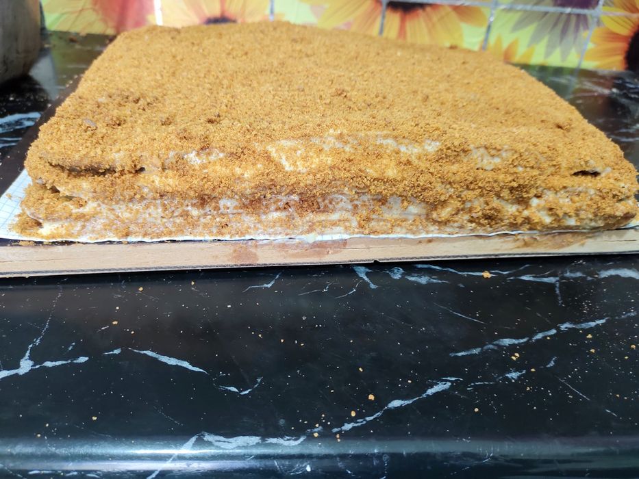 Domashniy pishiriqlar