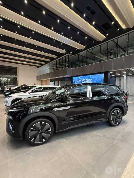 Champion Elektr va Gibrit