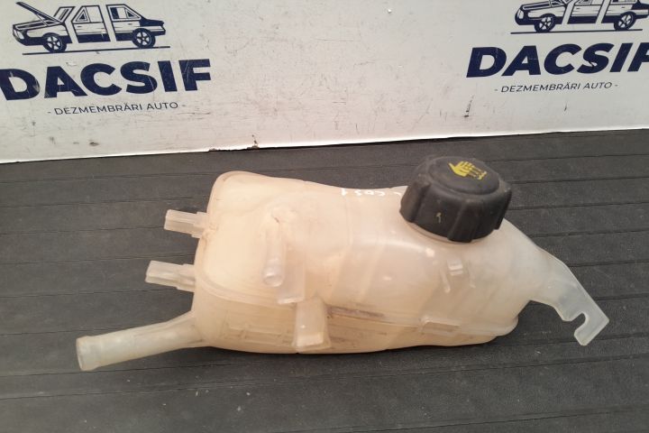 Vas expansiune 217100005R - 1.9 DCI 217100005R - 1.9 DCI Renault Mega