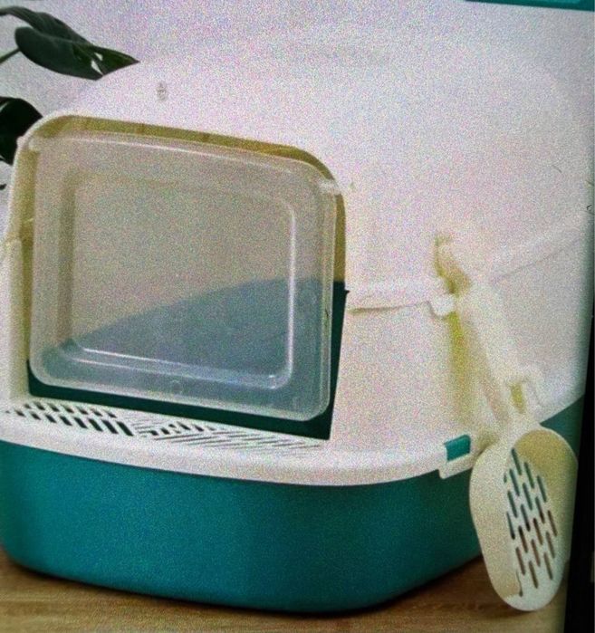 Scottish Fold mushugi