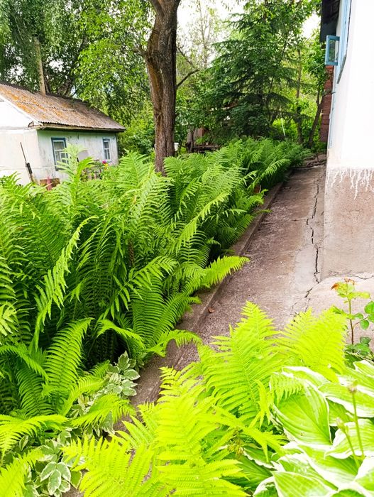 Дача для отдыха и садоводства