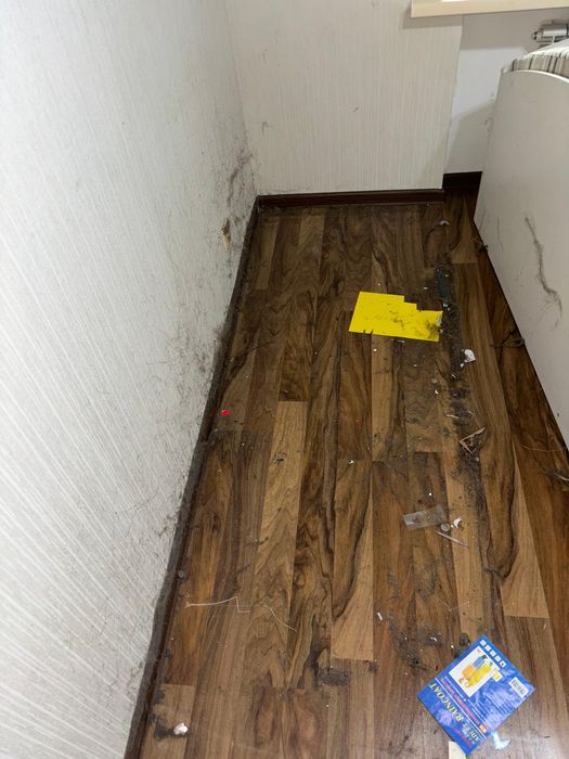 Клининговая компания