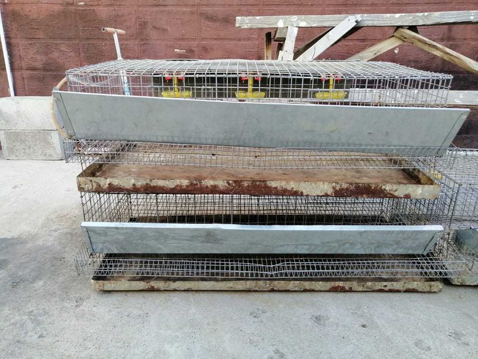 Клетка для перепелов