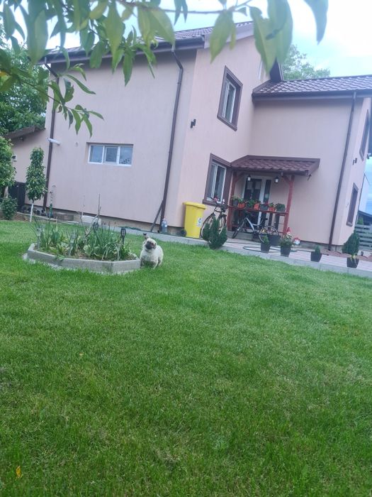 Casă de vanzare în Clocociov str Boiangiului