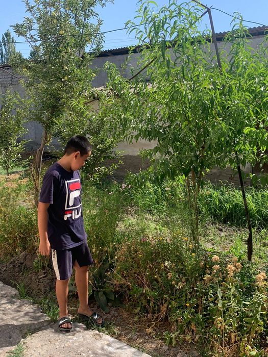 Недвижимость /Дом