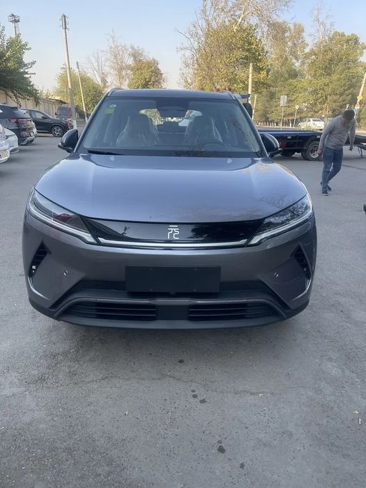 Byd Yuan up Smart 401ev 2025