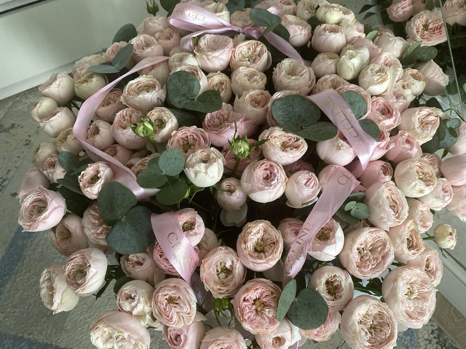 Цветы Пионы кустовые