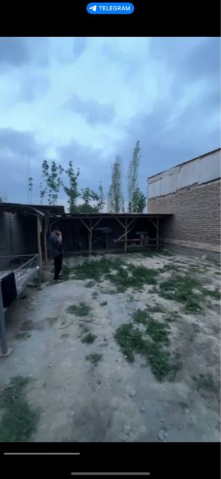 Uchastka yer Toshkent atp parsez