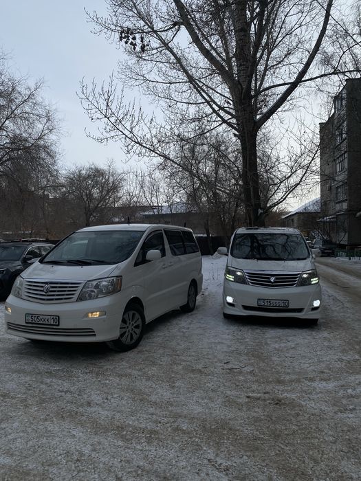 Пассажирские перевозки / ОБЛАСТЬ / РФ