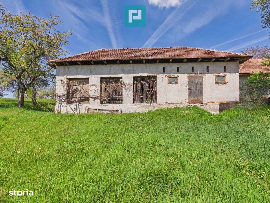 Proprietate rară cu 24.270 mp, în Măgulicea, Arad!