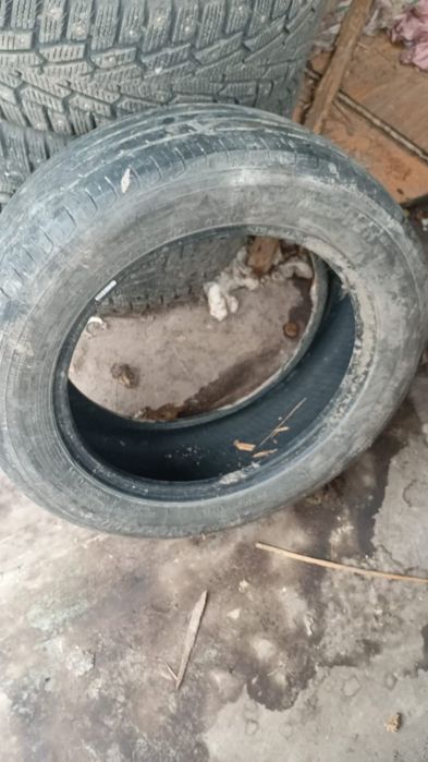 Продам шина летныи