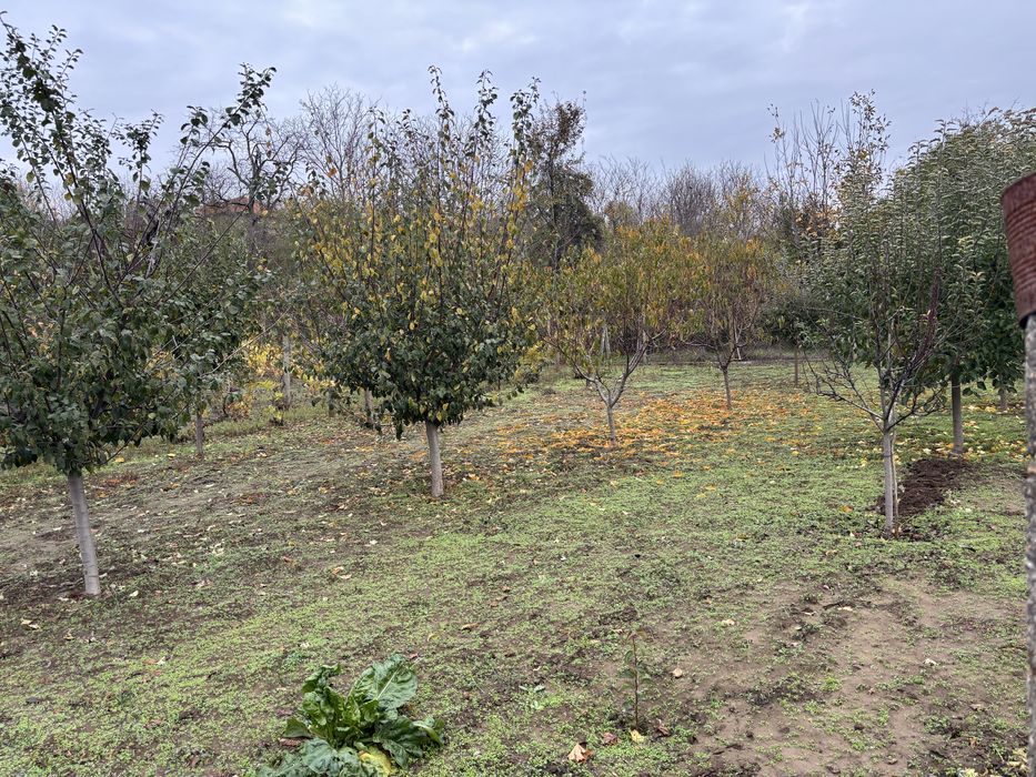 Парцел в м-ст Хайдук Дере