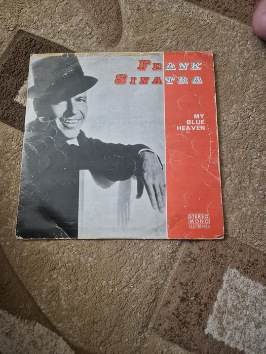 Discuri de vinil