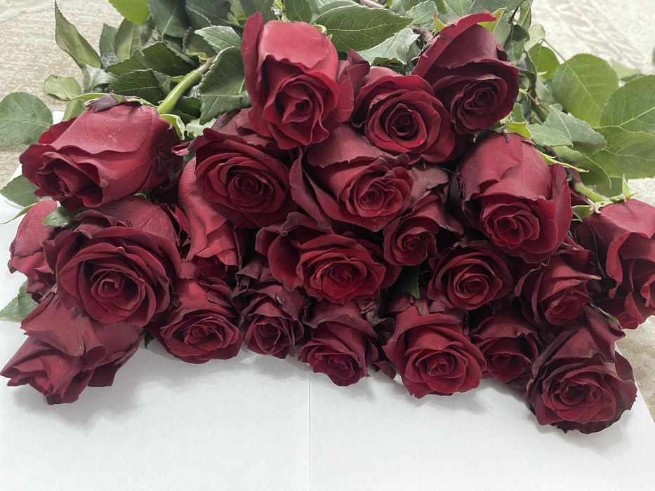 Продам розы 650 оптом