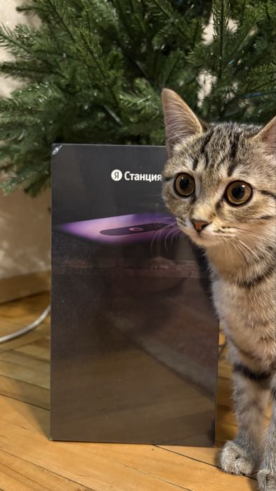 Умная колонка Яндекс станция