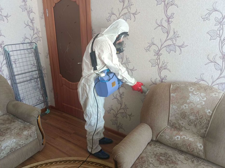 Дезинфекция от клопов Dezinfeksiya dezenfeksiya dizinfeksiya 24 soat