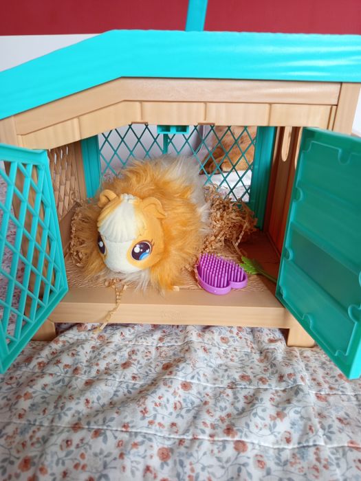 Морско свинче с 3 изненади