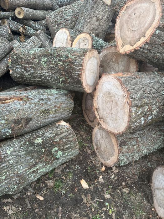 Aduc la preț accesibil