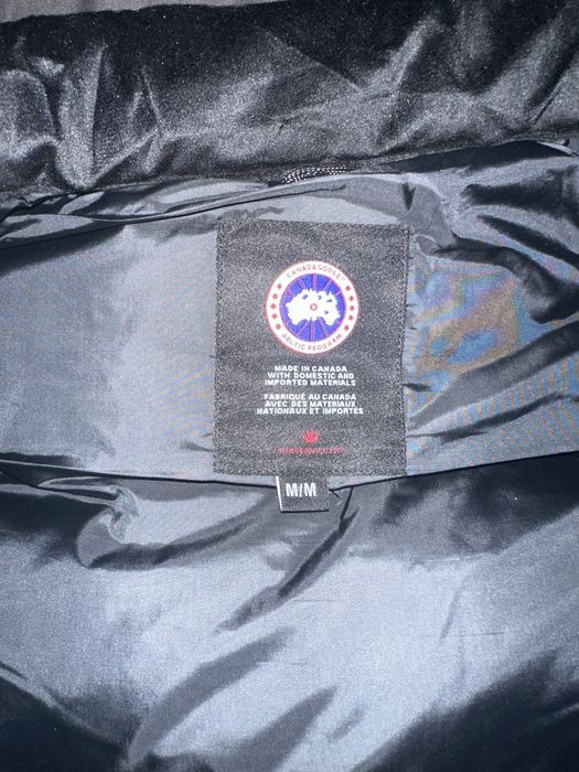 Vesta canada goose