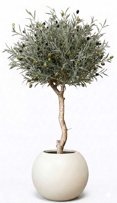 Copaci, Bonsai si Măslini Artificiali
