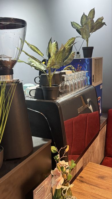 Кофемашина професиональный